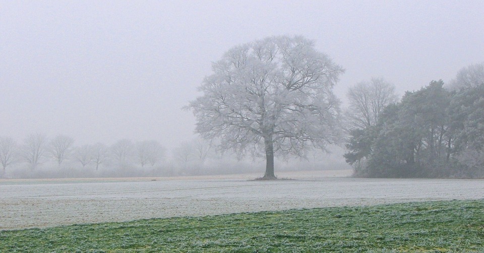 brouillard2022-4.jpg