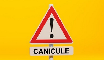 canicule2021-2.jpg