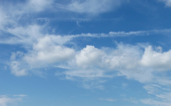 canicule2021.jpg