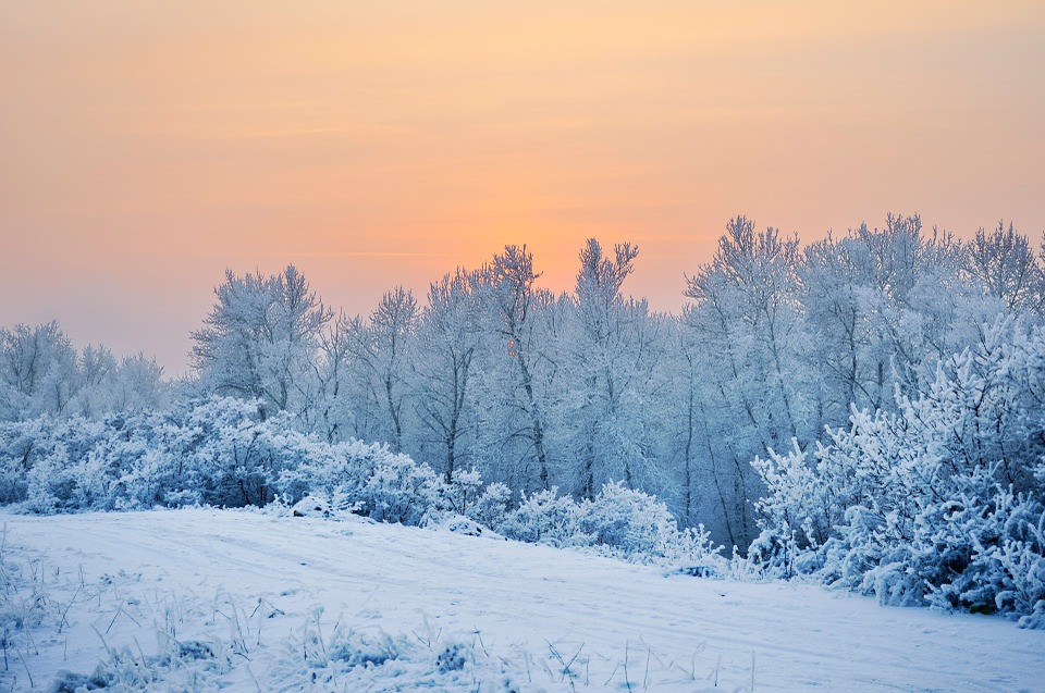 froid2022-2.jpg