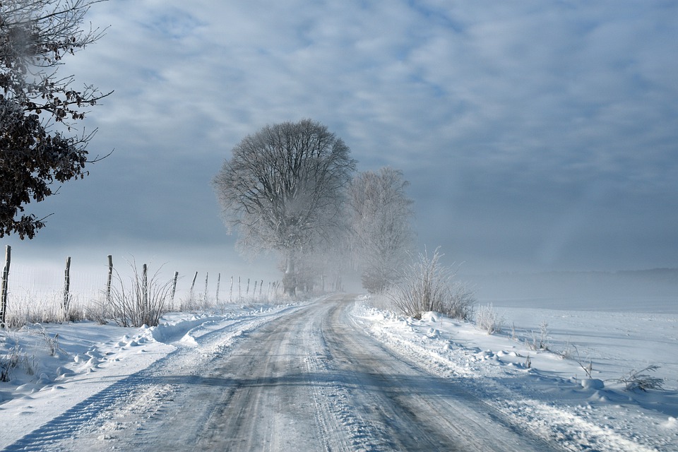 froid2022.jpg