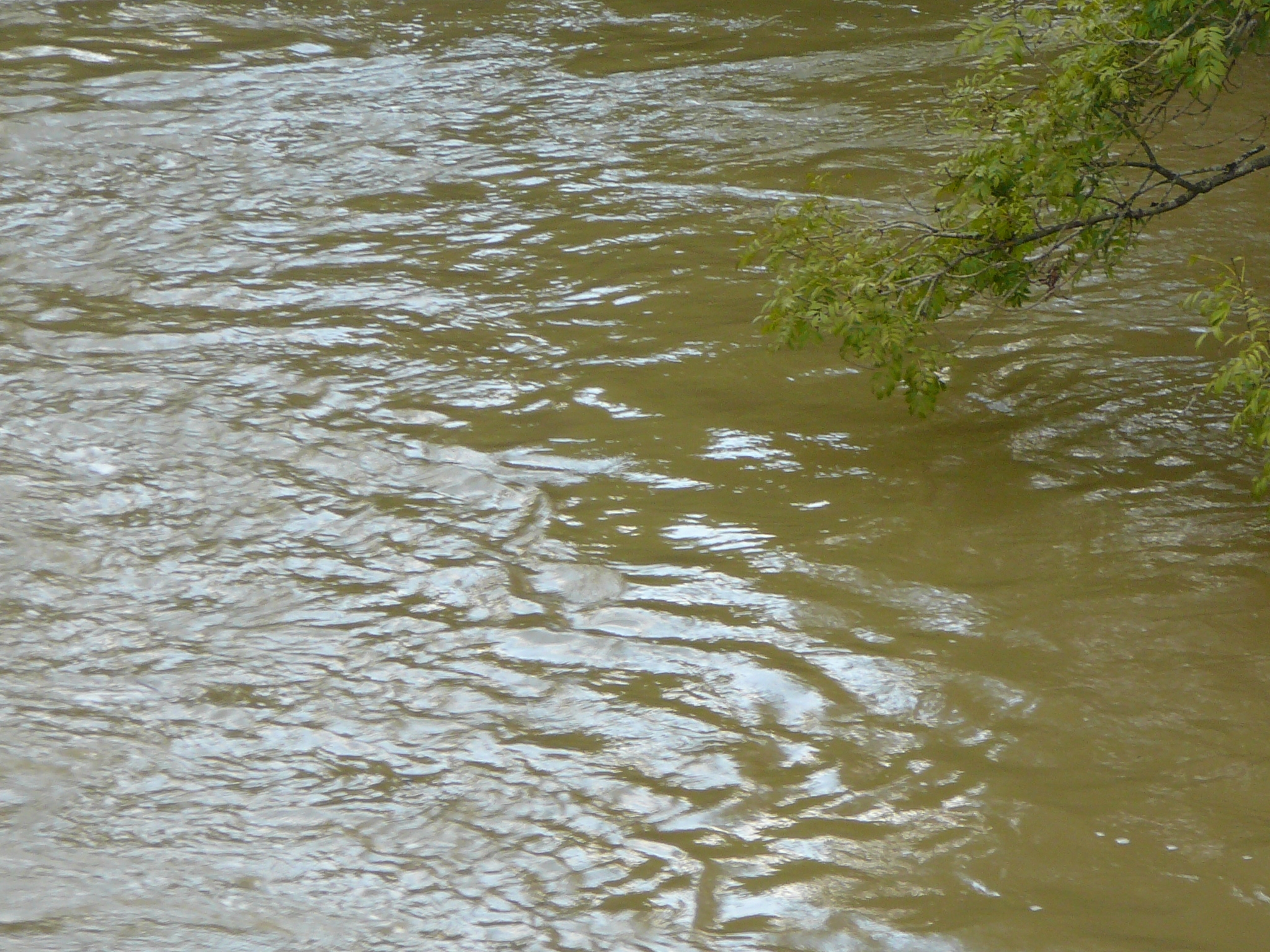 inondation2021.jpg