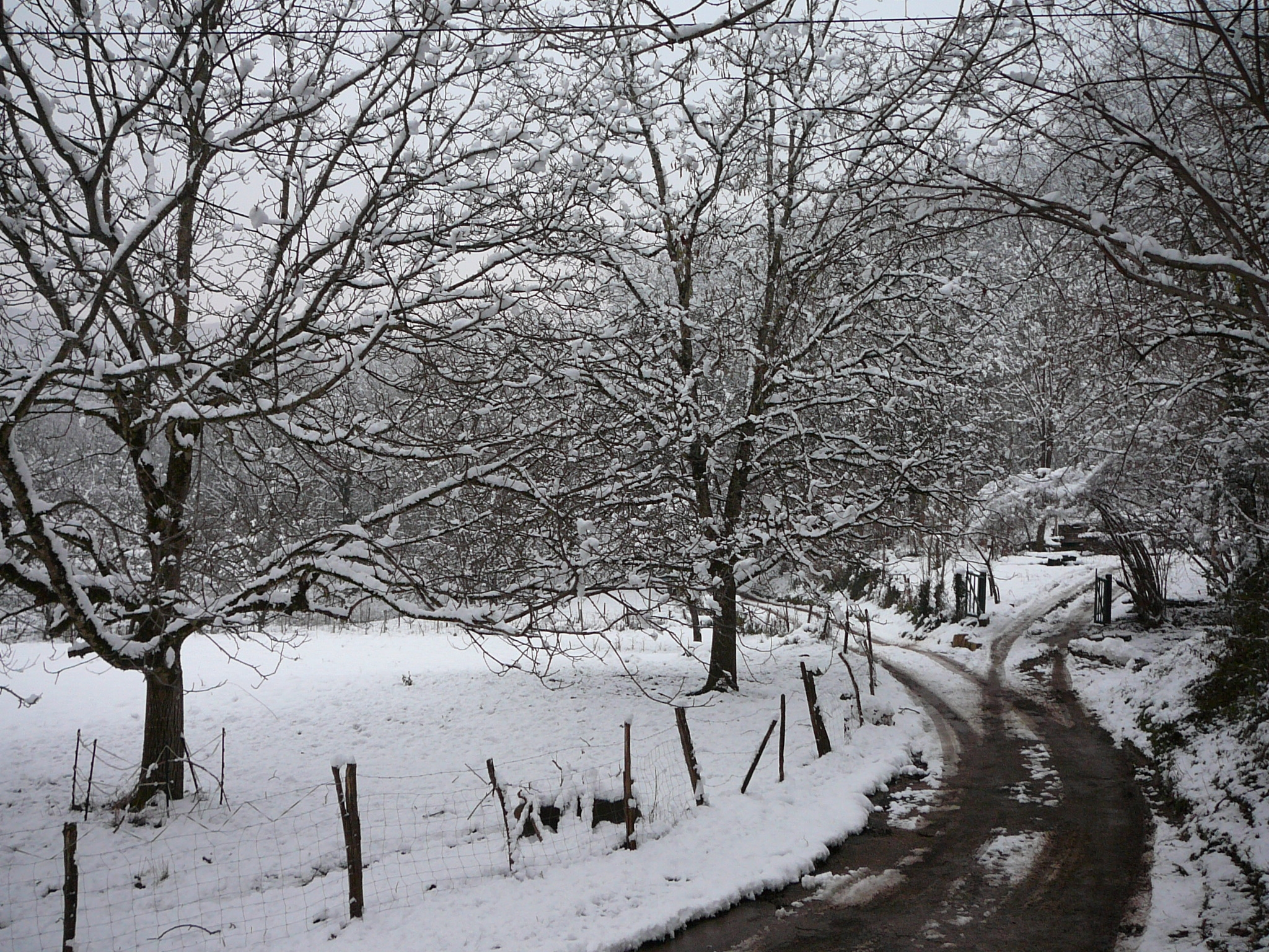 neige2021-3.jpg