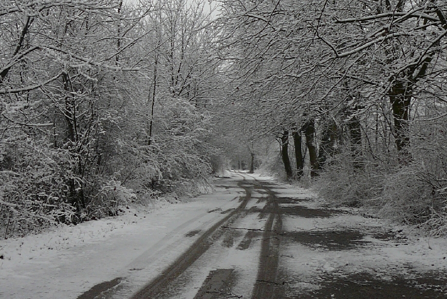 route2021-13.jpg