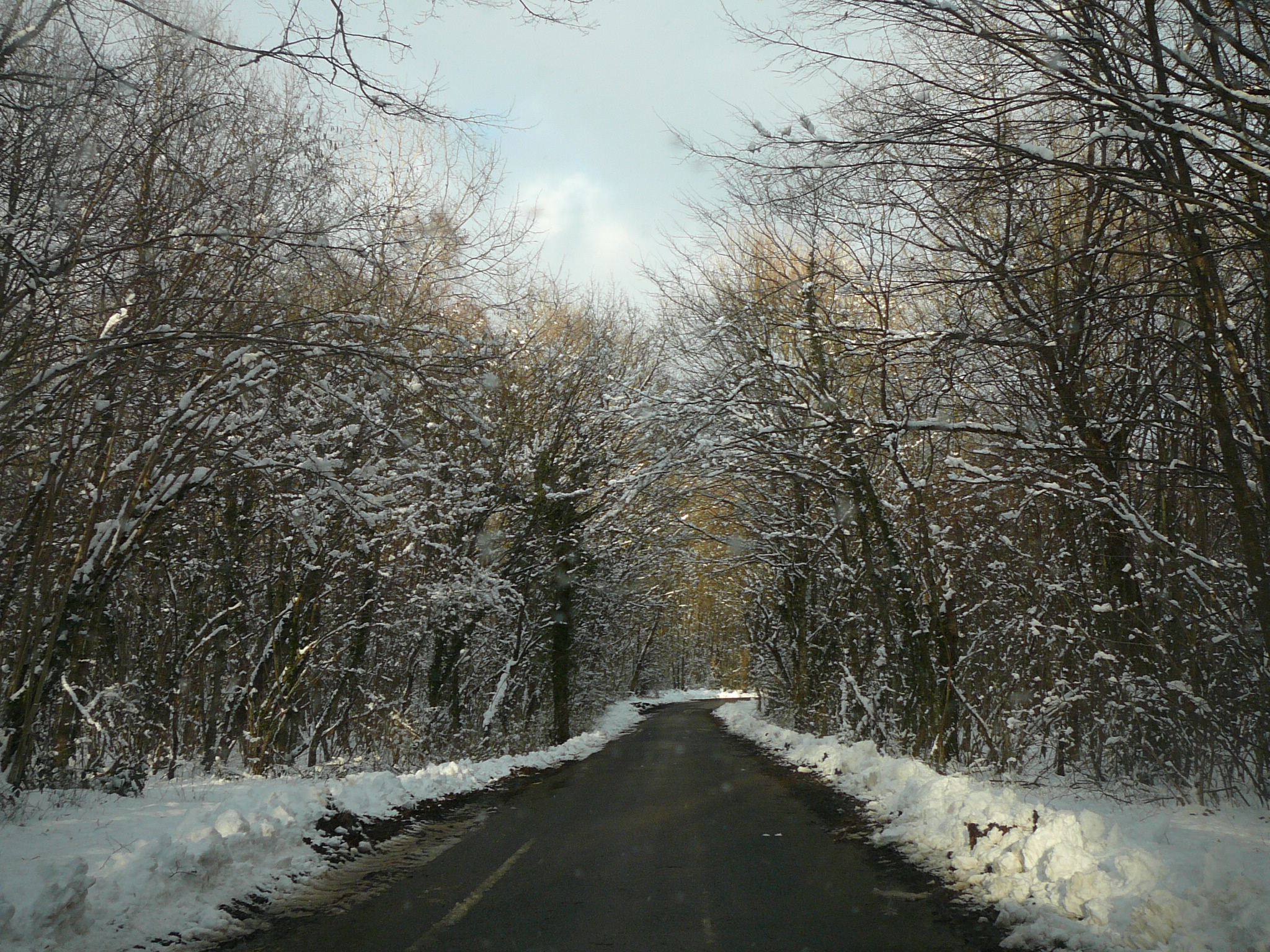 route2021-16.jpg