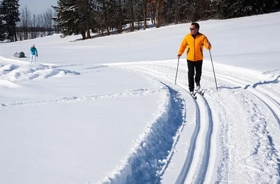 skifond2020.jpg