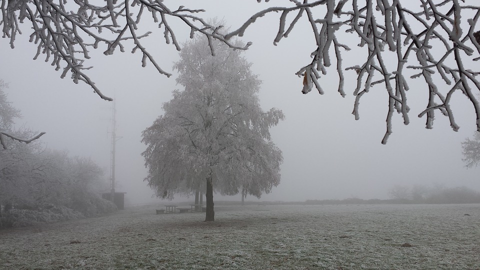brouillard2022-6.jpg