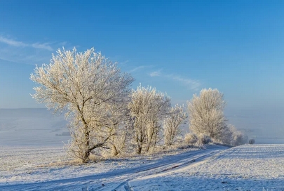 froid2023.jpg