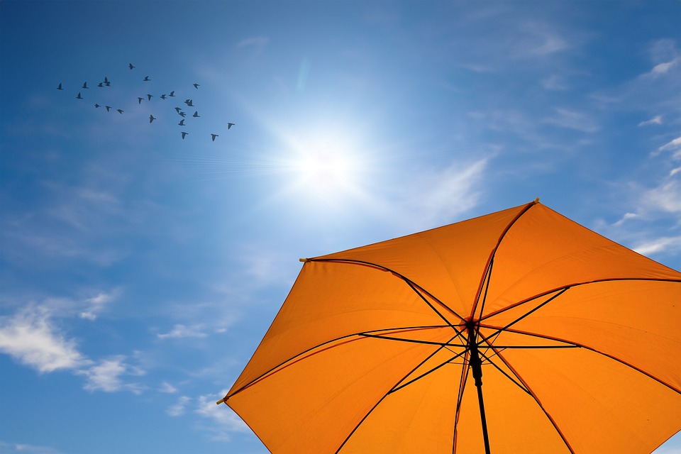 canicule2023-2.jpg