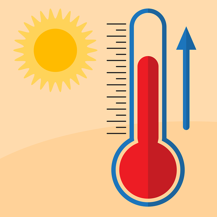 canicule2023-5.jpg
