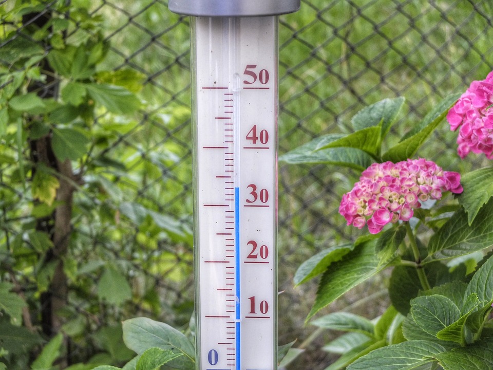 canicule2023-7.jpg