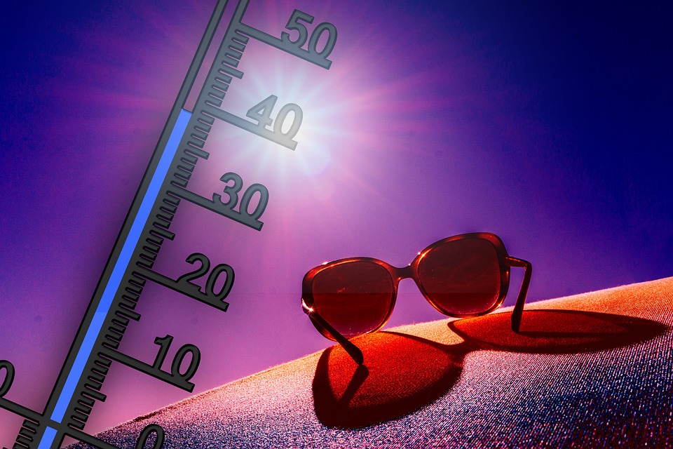canicule2023-8.jpg