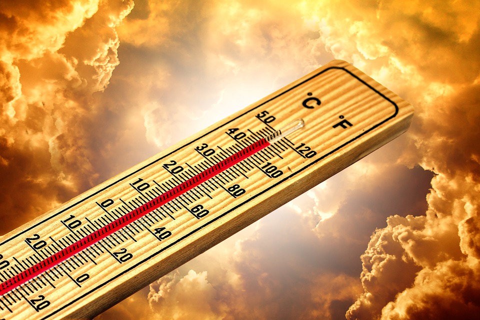 canicule2023.jpg