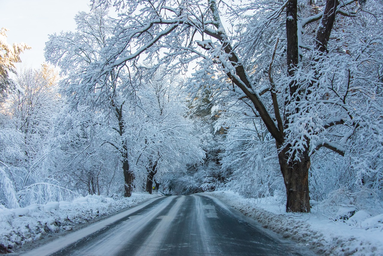 neige2023-5.jpg