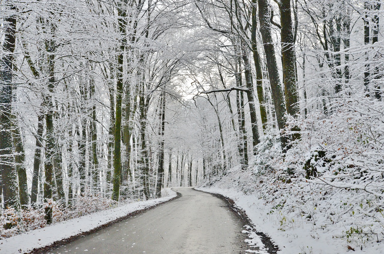 neige2023-9.jpg