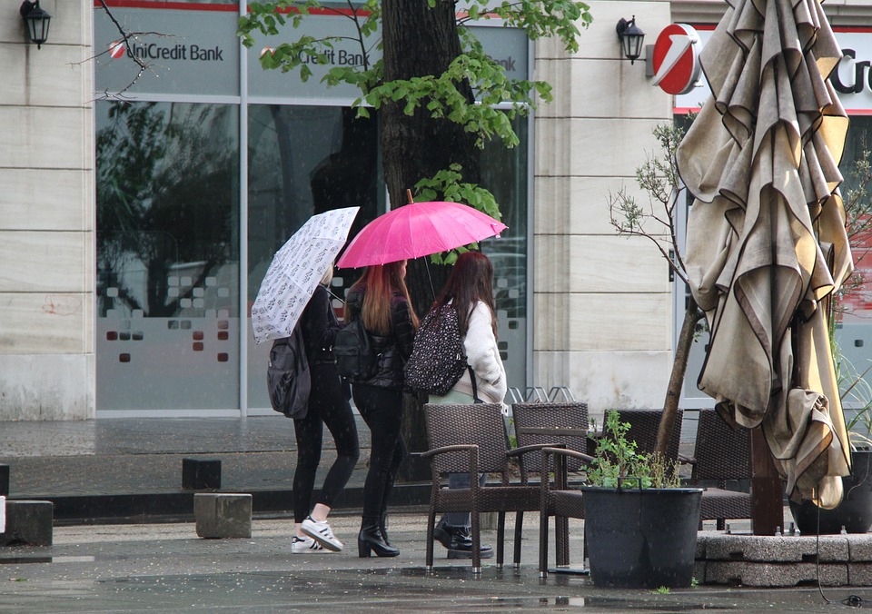 parapluie2023-11.jpg