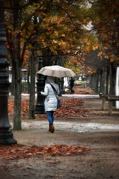 parapluie2023-15.jpg