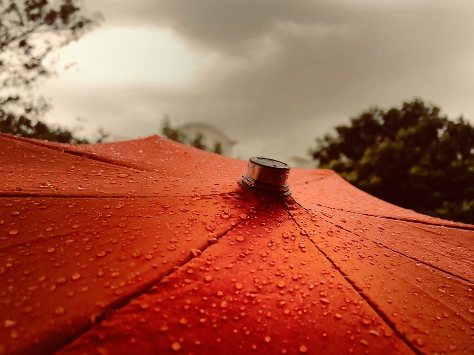 parapluie2023-5.jpg