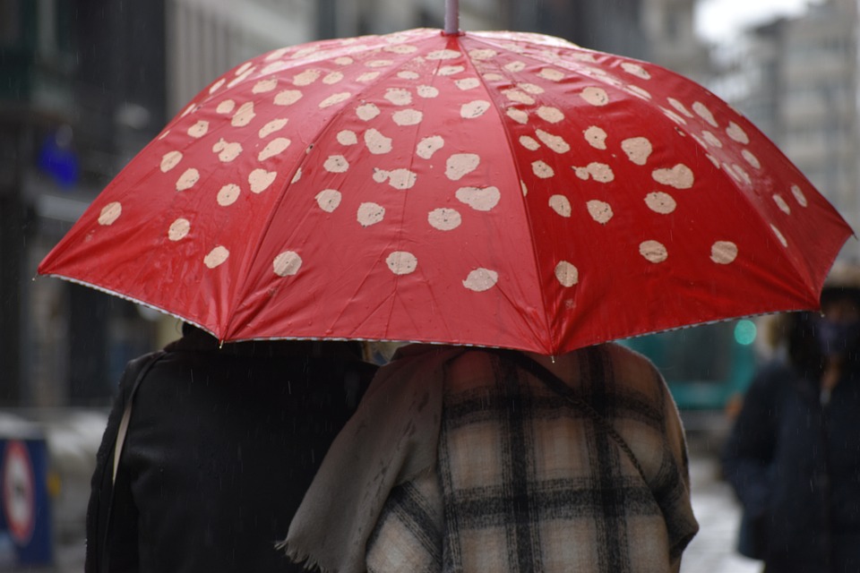 parapluie2023-9.jpg
