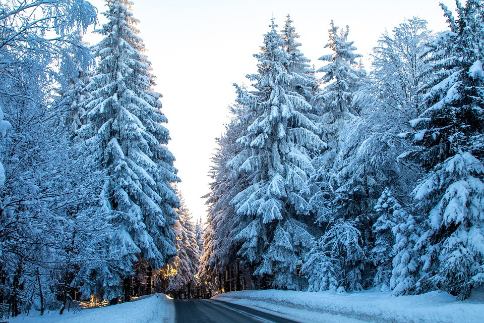 neige2024-15.jpg