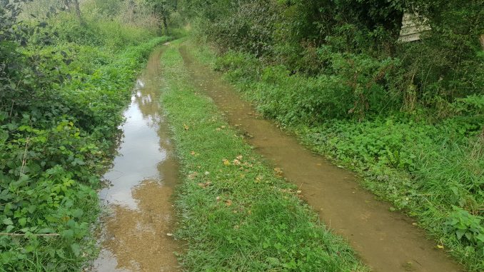 pluie08102024.jpg
