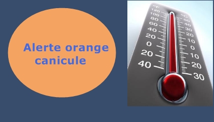 alertecanicule1.jpg