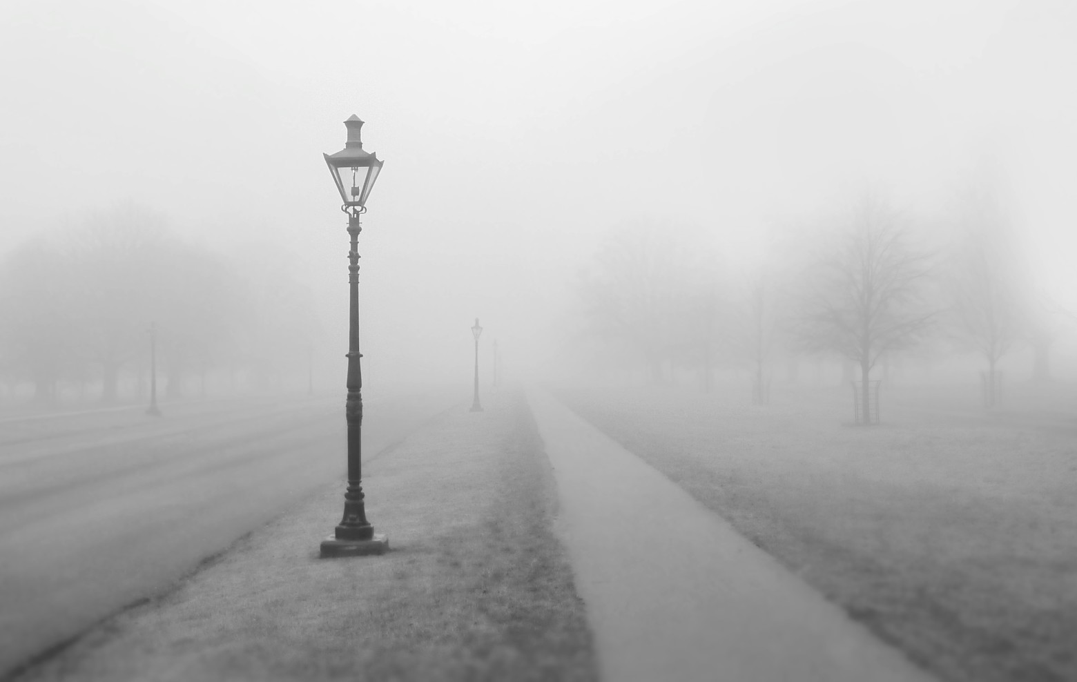 brouillard2019-2.jpg