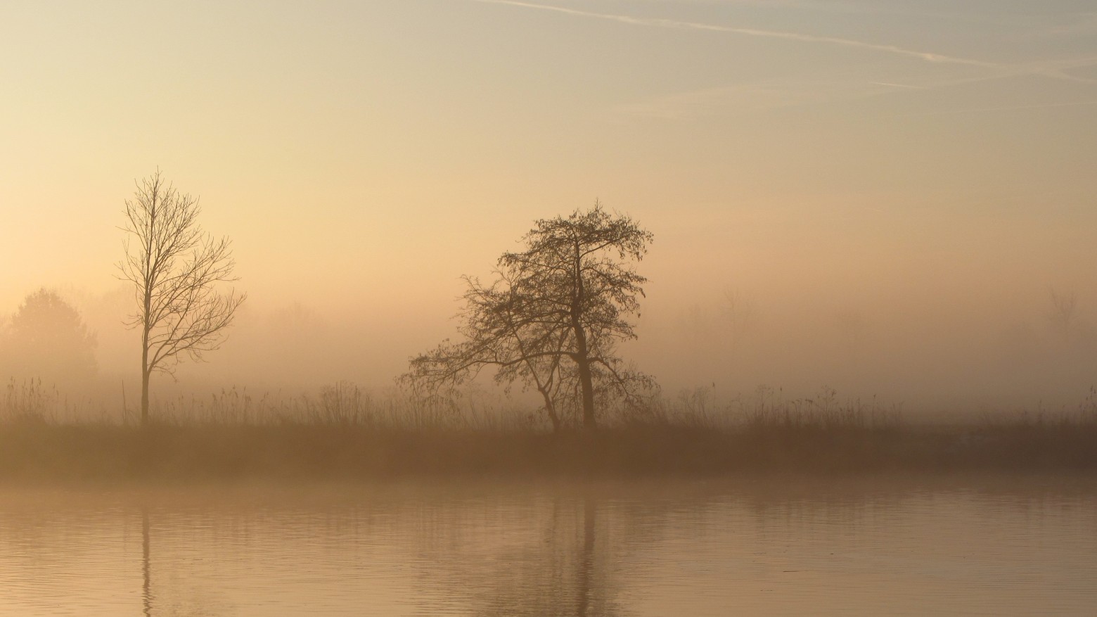 brouillard2019.jpg