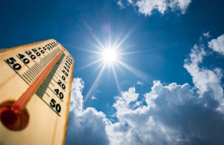 canicule2018-0.jpg