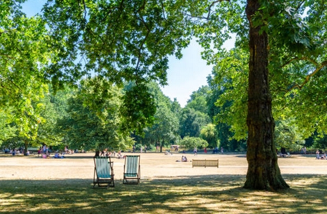 canicule2018-2.jpg