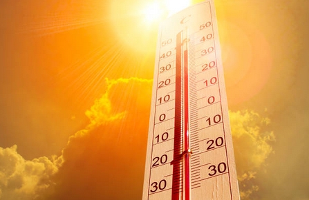 canicule2018-5.jpg