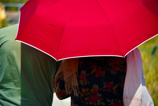 canicule2019-3.jpg