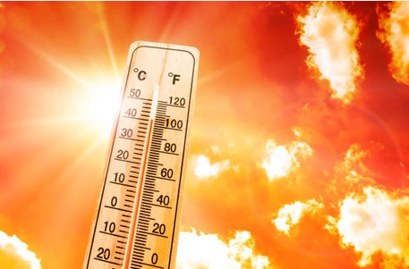 canicule2022-5.jpg