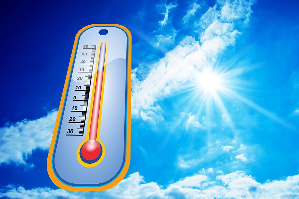 canicule2022.jpg