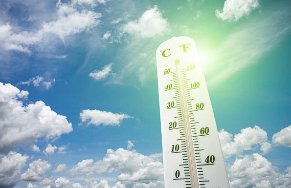 climat2019-3.jpg