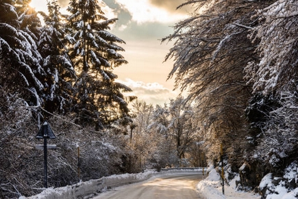 froid2019-7.jpg