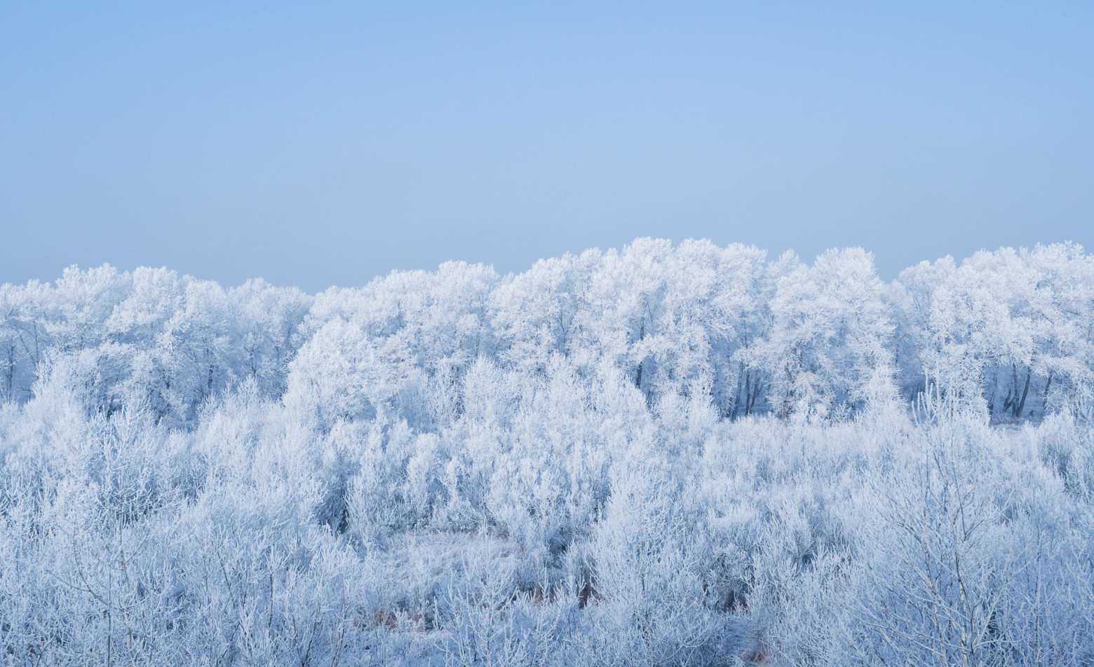 hiver11.jpg
