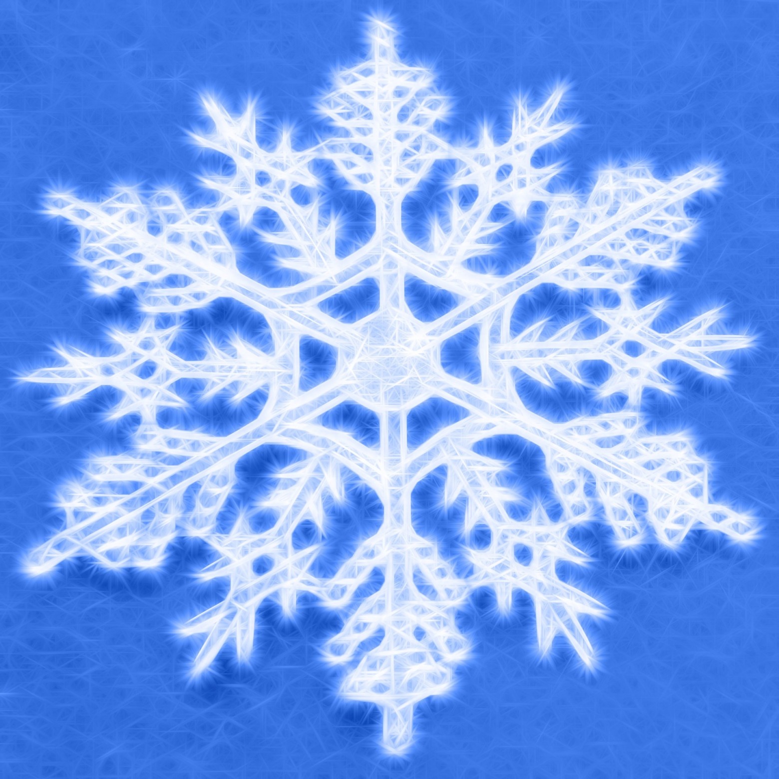 hiver15.jpg