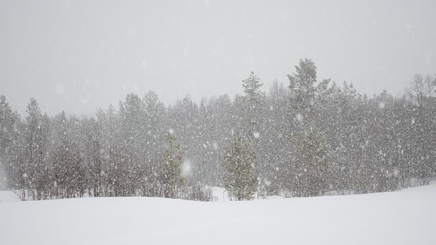 hiver2.jpg