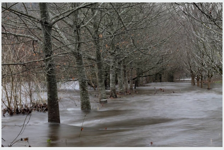 inondation2019-4.jpg