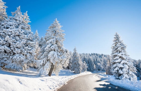 neige2019-10.jpg