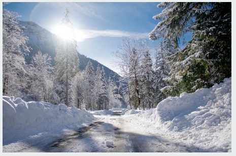 neige2019-16.jpg