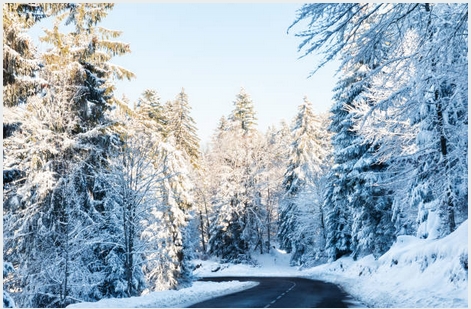 neige2019-17.jpg
