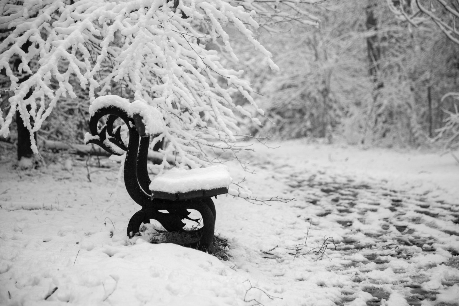 neige2019-6.jpg