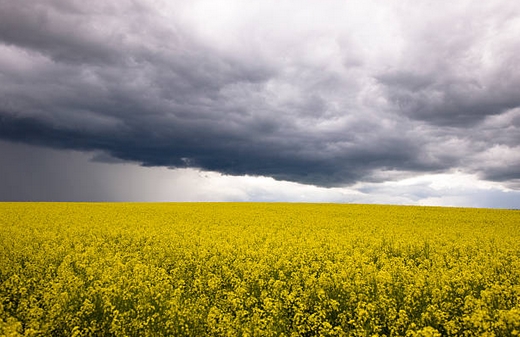 orage2019-15.jpg