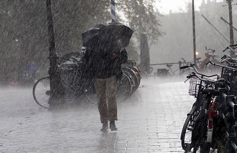 parapluie2019-4.jpg