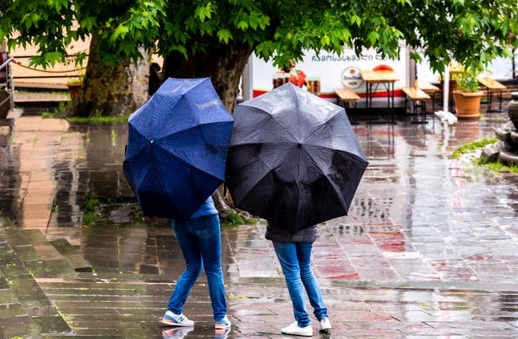 parapluie2019.jpg