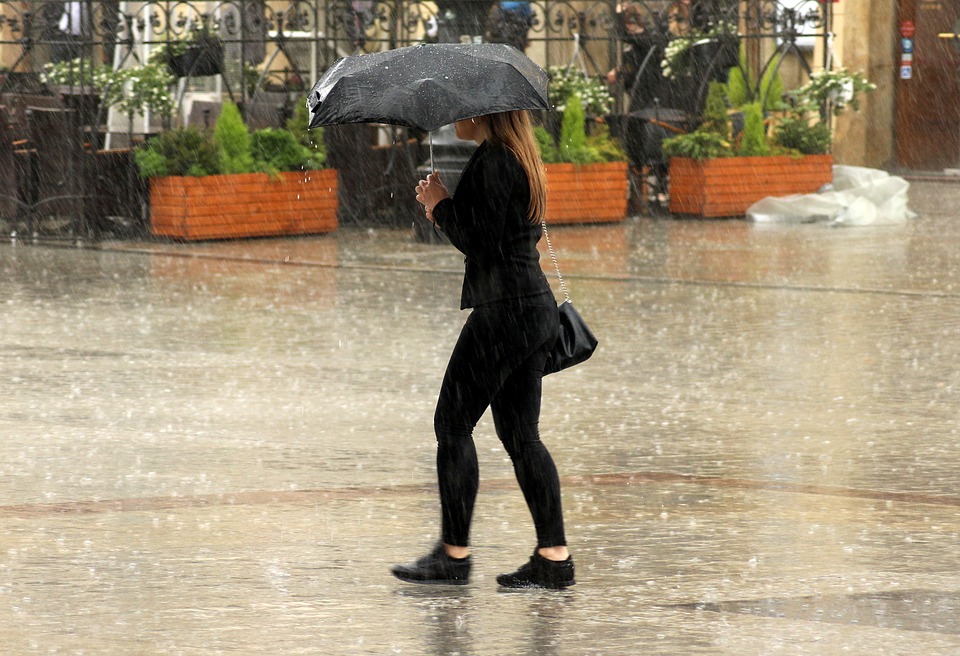 parapluie2021-5.jpg