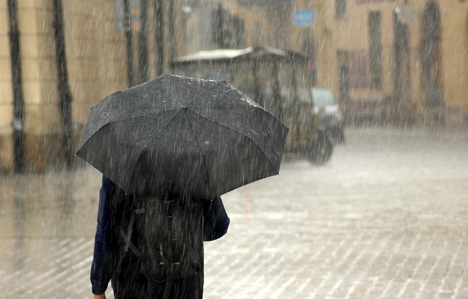 parapluie2022-2.jpg