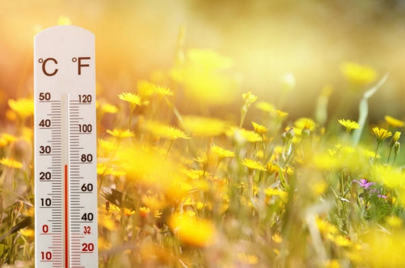 soleil2019.jpg